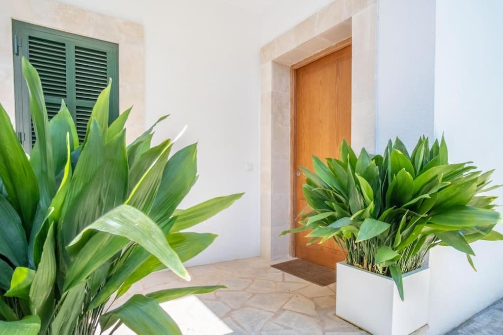 Bell Lloc Bonaire Apartment